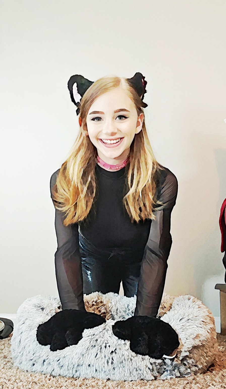 Playing the Pet (Some planned creative&nbsp;writing)